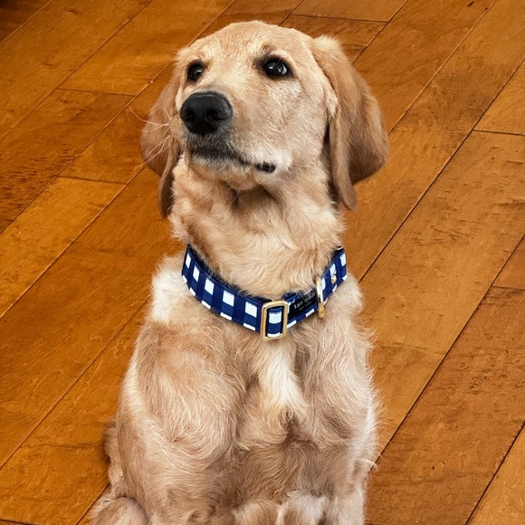 Meet your Posher, Clare - Picture 4 of 12